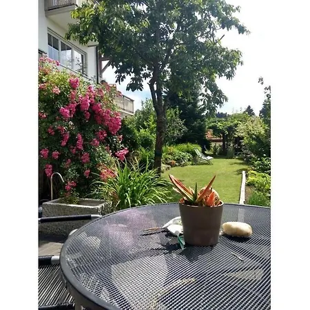 Paradise In The Paradise House *